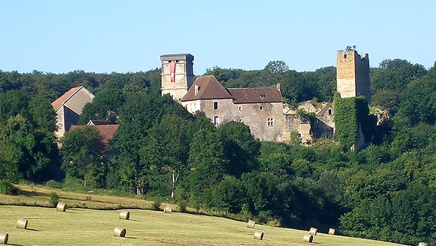 Château-d'Oricourt-Vue-générale